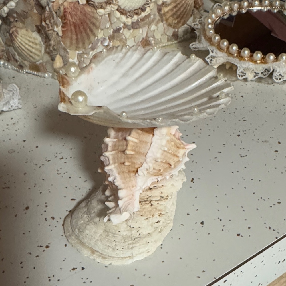 Elegant Shell Jewelry Holder